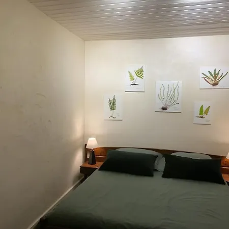 펜션 Domaine Les Pierres Lacapelle-Segalar