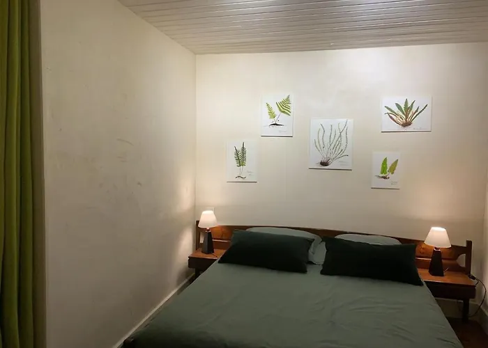 Ferienhaus Domaine Les Pierres Lacapelle-Segalar