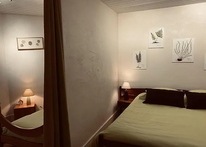 Domaine Les Pierres Ferienhaus Lacapelle-Segalar